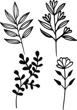 Set of vector floral elements isolated on white background. Stock Illustration