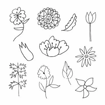 Set of vector flowers and leaves hand drawn clip art. Black line art Stock Illustration