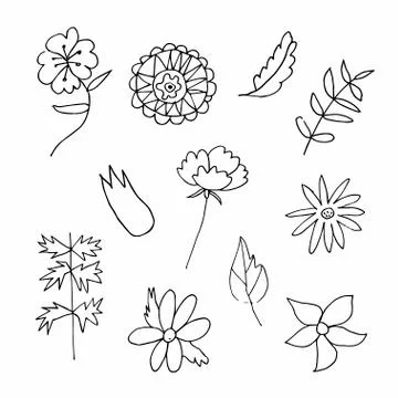 Set of vector flowers and leaves hand drawn clip art. Black line art Stock Illustration