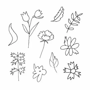 Set of vector flowers and leaves hand drawn clip art. Black line art Stock Illustration