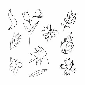 Set of vector flowers and leaves hand drawn clip art. Black line art Stock Illustration