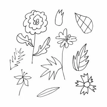 Set of vector flowers and leaves hand drawn clip art. Black line art Stock Illustration