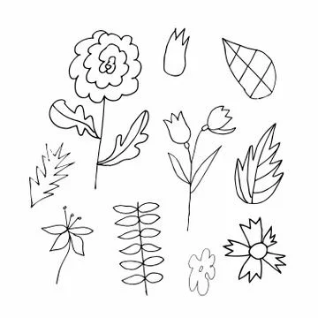 Set of vector flowers and leaves hand drawn clip art. Black line art Stock Illustration