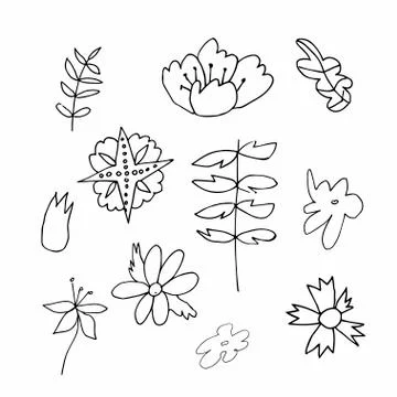 Set of vector flowers and leaves hand drawn clip art. Black line art Stock Illustration