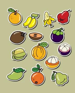 Set of vector fruit on the white background. Stock Illustration