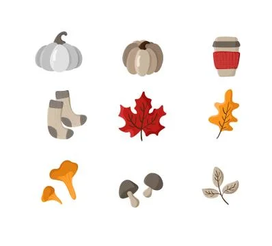 Set of vector hand drawn autumn elements. Autumn leaves, mushrooms, socks イラスト素材