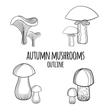 Set of vector hand drawn autumn elements. Stock Illustration