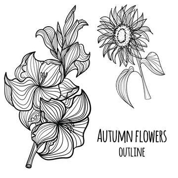 Set of vector hand drawn autumn elements. Stock Illustration