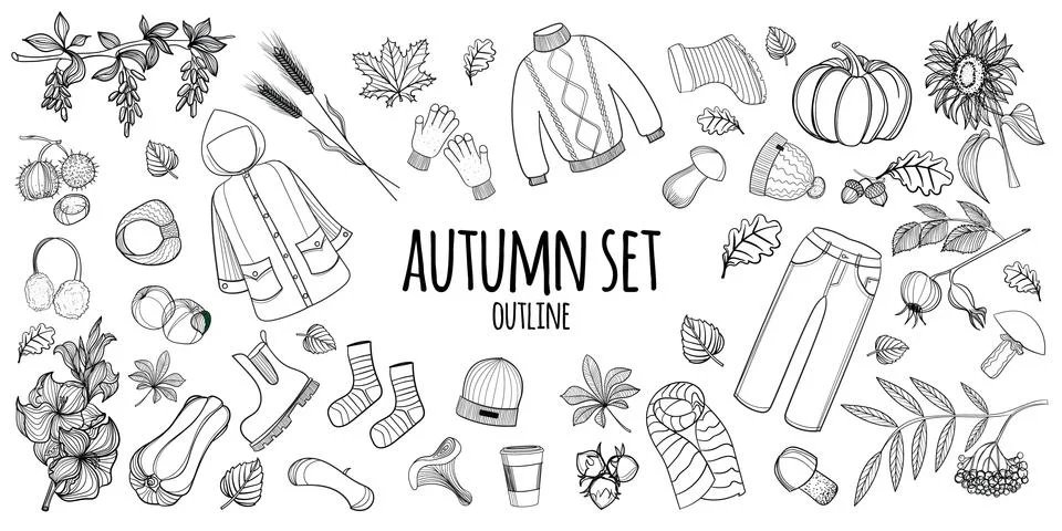 Set of vector hand drawn autumn elements. Stock Illustration