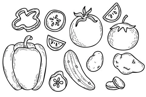 Set of vector hand drawn vegetables. Potatoes, peppers, cucumber and tomatoes. W Stock Illustration