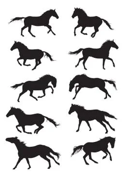 Set of vector horses silouettes Stock Illustration