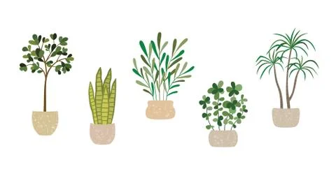 Set of vector house indoor plants, potted plants collection on white background. Stock Illustration