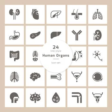 Set of vector icons of internal human organs in a glyph style isolated. Stock Illustration