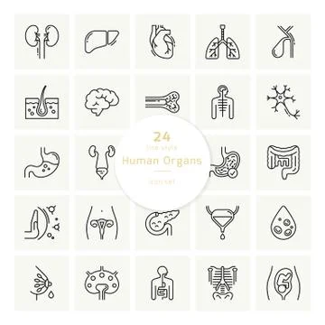 Set of vector icons of internal human organs in a glyph style isolated. Stock Illustration
