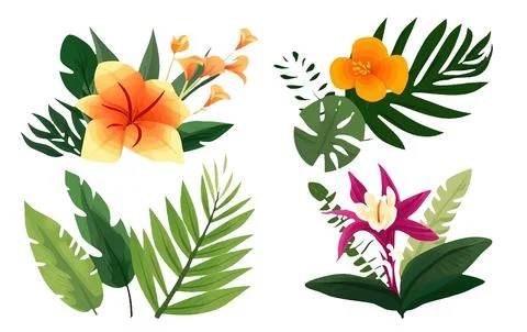 Set vector illustraion of tropical leaves and flowers isolated on white Stock Illustration