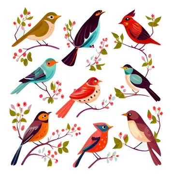 Set vector illustration of bird isolation on white background Stock Illustration