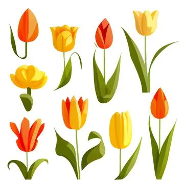 Set vector illustration of bloming flowers isolate background International Stock Illustration