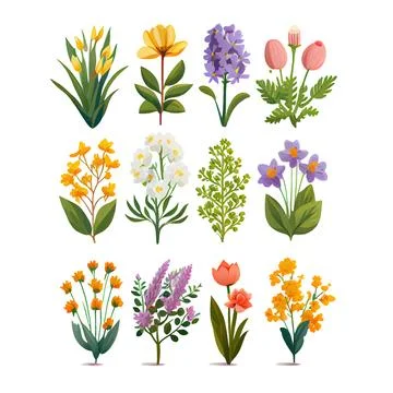 Set vector illustration of bloming flowers isolate background International Stock Illustration