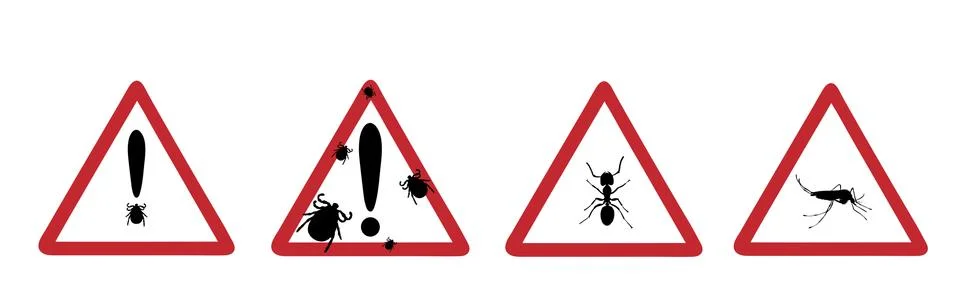 Set of vector illustration caution insect on white background. Symbol of atte Stock Illustration