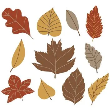 Set of vector illustration of leaves of maple, oak, birch in cozy autumn colors Stock Illustration
