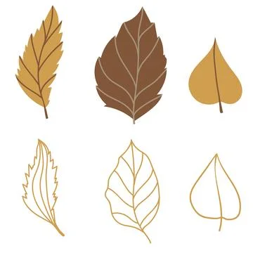 Set of vector illustration of leaves of maple, oak, birch in cozy autumn colors Illustrazione stock