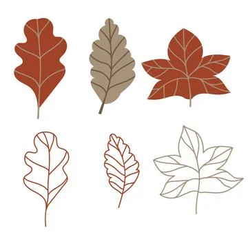 Set of vector illustration of leaves of maple, oak, birch in cozy autumn colors Stock Illustration