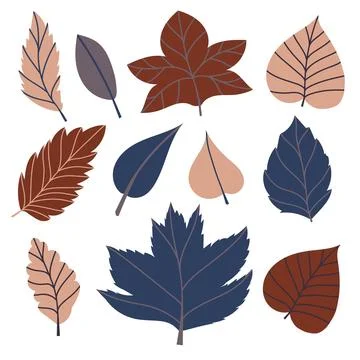 Set of vector illustration of leaves of maple, oak, birch in cozy autumn colors Stock Illustration