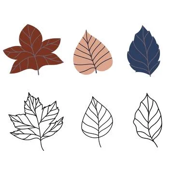 Set of vector illustration of leaves of maple, oak, birch in cozy autumn colors Stock Illustration