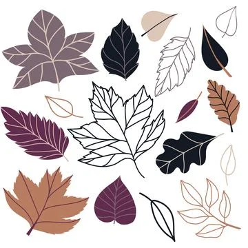 Set of vector illustration of leaves of maple, oak, birch in cozy autumn colors Stock Illustration