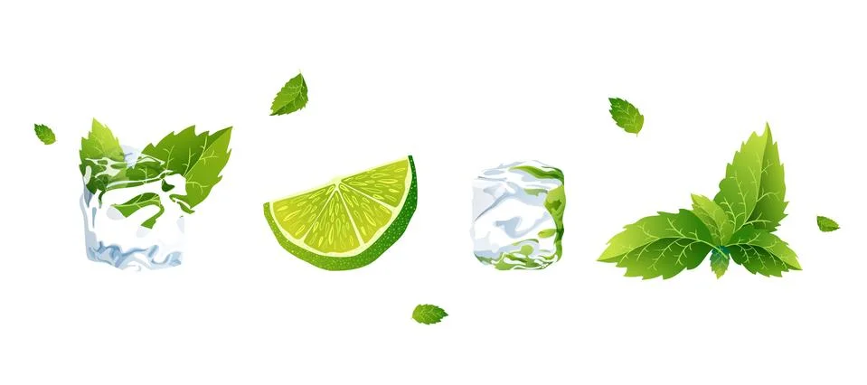 Set of Vector illustration lime, ice cube and mint Stock Illustration