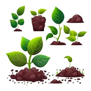 Set vector illustration of plant growing on soil in hands isolate Stock Illustration