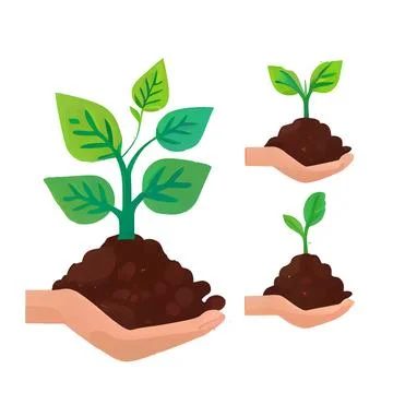 Set vector illustration of plant growing on soil in hands isolate Stock Illustration