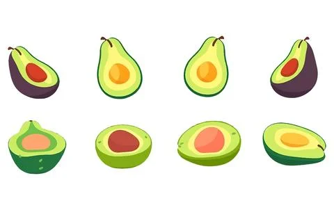 Set vector illustration of ripe avocado isolated on white background Stock Illustration