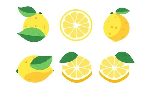 Set vector illustration of ripe lime isolated on white background Stock Illustration