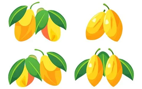Set vector illustration of ripe mango or plum isolated on white background Stock Illustration