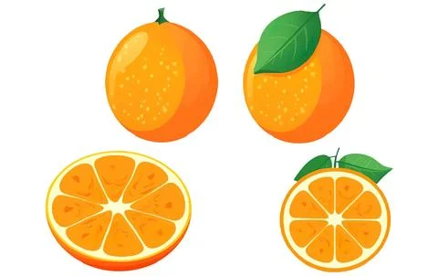 Set vector illustration of ripe orange isolated on white background Stock Illustration