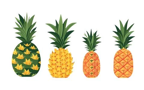 Set vector illustration of ripe pineapple isolated on white background Stock Illustration