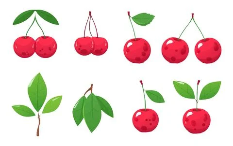 Set vector illustration of ripe red cherry isolated on white background Stock Illustration