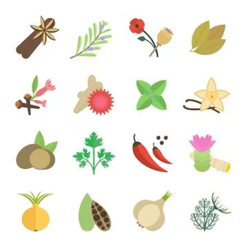Set Vector Illustration of Spice Selección de ilustraciones gratis
