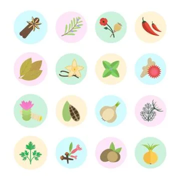 Set Vector Illustration of Spice Free Stock Illustration