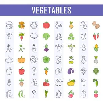 Set Vector Illustration of Vegetables on White Background Free Stock Illustration