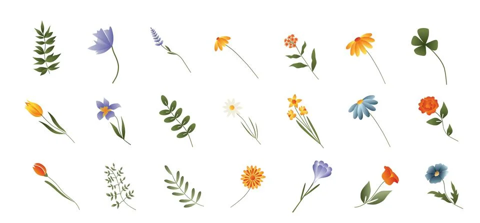 Set of vector illustrations of colorful spring flowers , gradient. Bright flo Stock Illustration