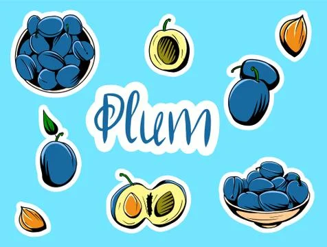 Set of vector illustrations depicting plums. Stock Illustration