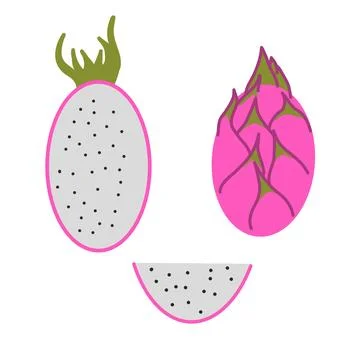 A set of vector illustrations of the dragon fruit. Illustrazione stock