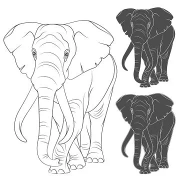 Set of vector illustrations with the elephant. Isolated objects on a white. Stock Illustration