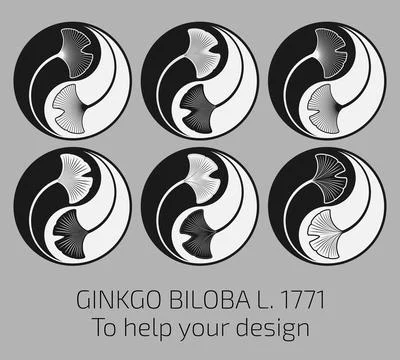 Set of vector illustrations of ginkgo biloba leaves using sacred geometry m.. Illustrazione stock