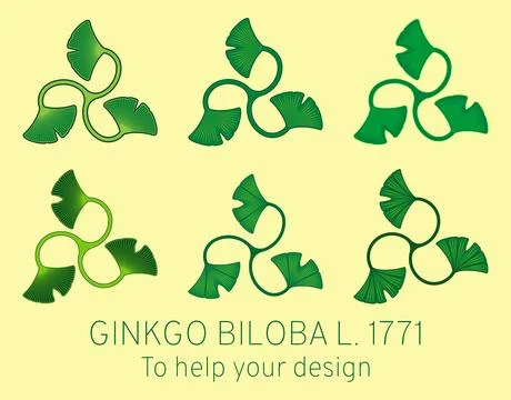 Set of vector illustrations of ginkgo biloba leaves using the sacred geomet.. Illustrazione stock