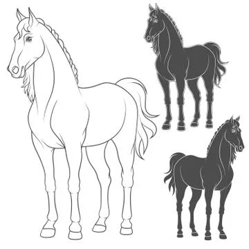 Set of vector illustrations with the horse. Isolated objects. Stock Illustration