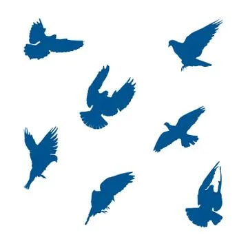 Set of vector illustrations of pigeons Stock Illustration