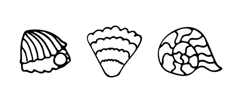 Set of vector illustrations of seashells. Doodle style. Stock Illustration
